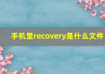 手机里recovery是什么文件