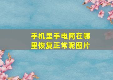 手机里手电筒在哪里恢复正常呢图片