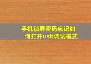 手机锁屏密码忘记如何打开usb调试模式