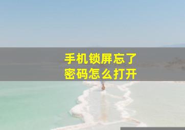 手机锁屏忘了密码怎么打开