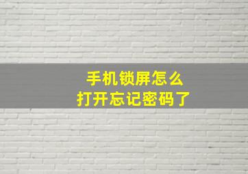 手机锁屏怎么打开忘记密码了