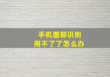 手机面部识别用不了了怎么办