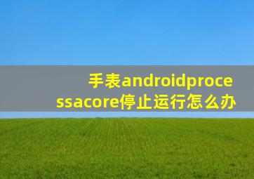 手表androidprocessacore停止运行怎么办