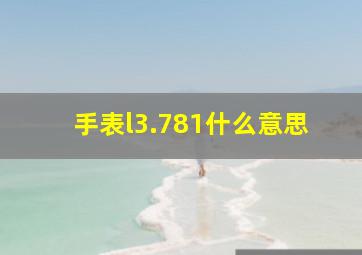 手表l3.781什么意思