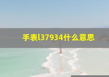 手表l37934什么意思