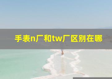 手表n厂和tw厂区别在哪