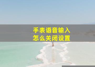 手表语音输入怎么关闭设置