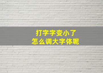 打字字变小了怎么调大字体呢