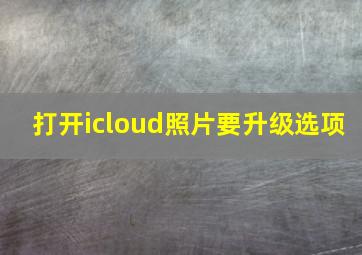 打开icloud照片要升级选项