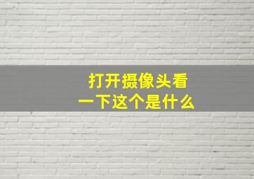 打开摄像头看一下这个是什么