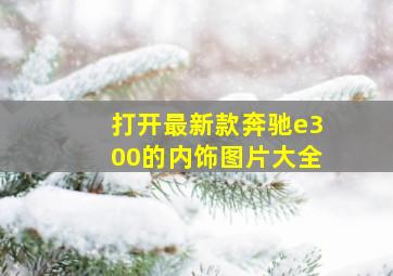 打开最新款奔驰e300的内饰图片大全