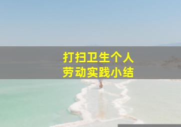 打扫卫生个人劳动实践小结