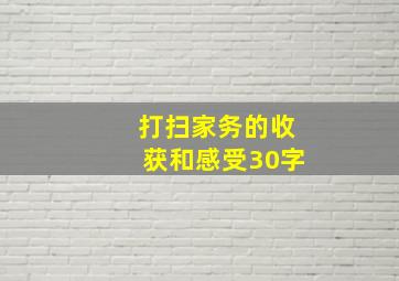 打扫家务的收获和感受30字