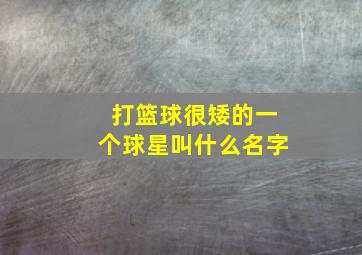 打篮球很矮的一个球星叫什么名字