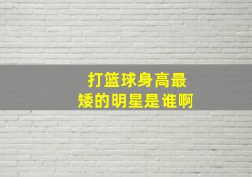 打篮球身高最矮的明星是谁啊