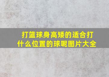 打篮球身高矮的适合打什么位置的球呢图片大全