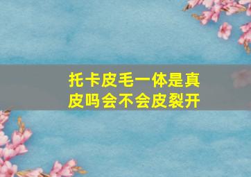 托卡皮毛一体是真皮吗会不会皮裂开