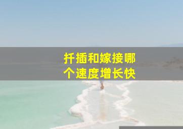 扦插和嫁接哪个速度增长快