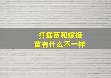 扦插苗和嫁接苗有什么不一样