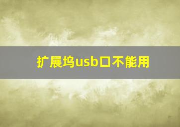 扩展坞usb口不能用