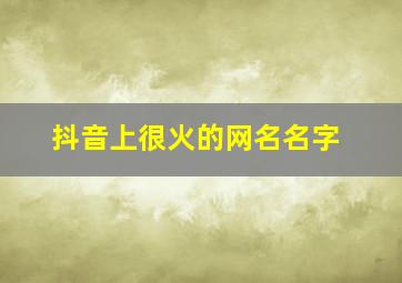 抖音上很火的网名名字