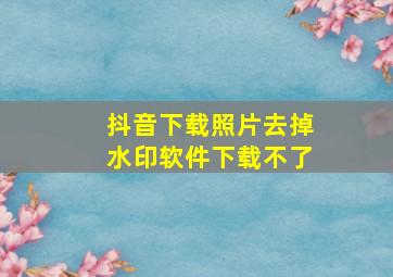 抖音下载照片去掉水印软件下载不了