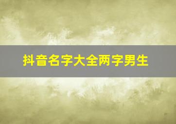 抖音名字大全两字男生