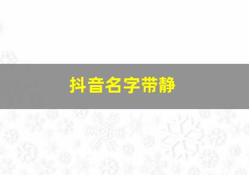 抖音名字带静