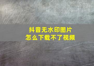 抖音无水印图片怎么下载不了视频