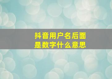 抖音用户名后面是数字什么意思