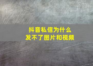 抖音私信为什么发不了图片和视频