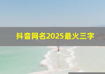 抖音网名2025最火三字