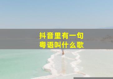 抖音里有一句粤语叫什么歌