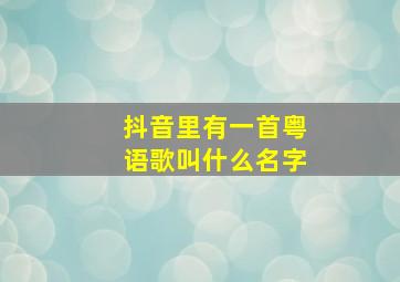 抖音里有一首粤语歌叫什么名字