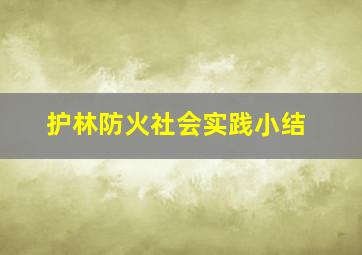 护林防火社会实践小结