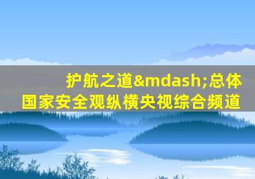 护航之道—总体国家安全观纵横央视综合频道