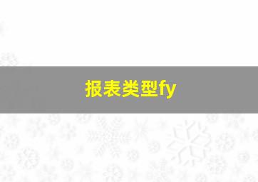 报表类型fy