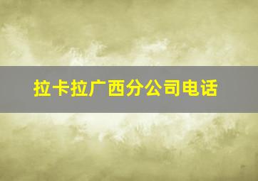 拉卡拉广西分公司电话