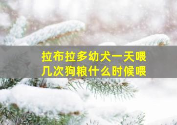 拉布拉多幼犬一天喂几次狗粮什么时候喂