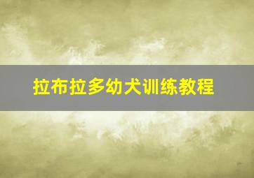 拉布拉多幼犬训练教程