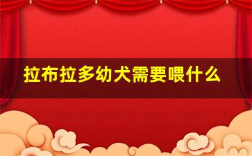 拉布拉多幼犬需要喂什么