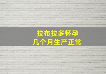 拉布拉多怀孕几个月生产正常