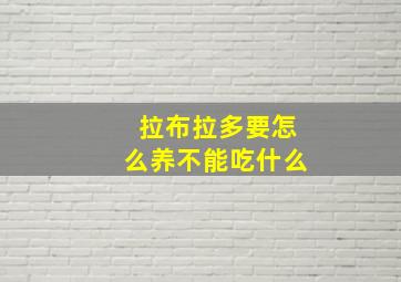 拉布拉多要怎么养不能吃什么