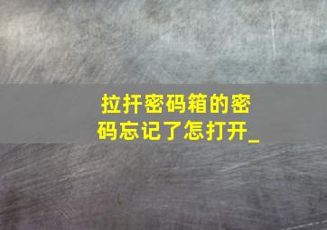 拉扞密码箱的密码忘记了怎打开_