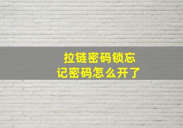 拉链密码锁忘记密码怎么开了