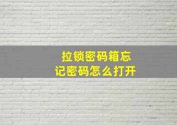 拉锁密码箱忘记密码怎么打开