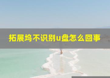 拓展坞不识别u盘怎么回事