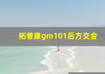 拓普康gm101后方交会