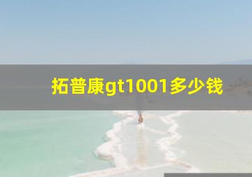 拓普康gt1001多少钱