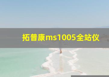 拓普康ms1005全站仪